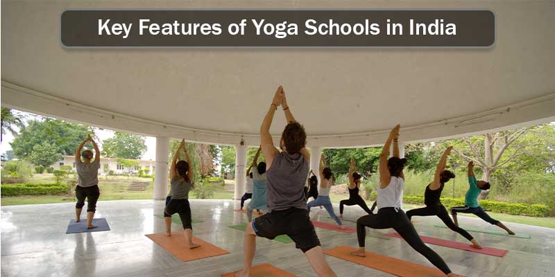 Key Features of Yoga Schools in India